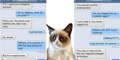 33 Text Messages You Would Get If Your Cat Could Text Cat Text Cat