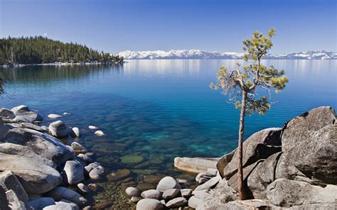 American Lakes American Lake Lake Photos Lake Tahoe Nevada