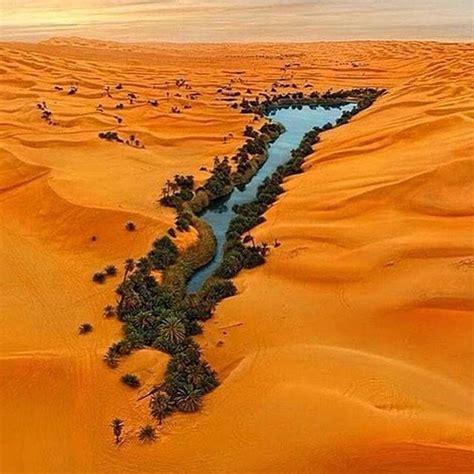 Oasis In Libyan Desert Photo By © Walerian Walawski Amazing Nature