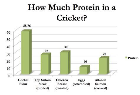 This wide range of nutrients and more can help reduce inflammation in the body. How Much Protein In a Cricket | Cricket Flours