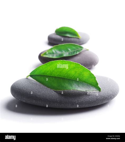 Zen Stones With Leaves Stock Photo Alamy