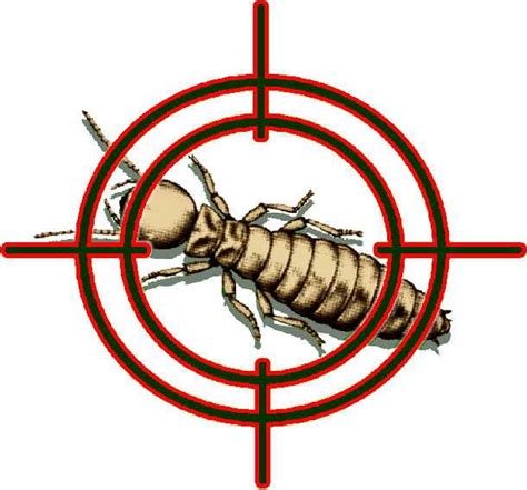 We have been using tim from action pest control for the past nine years. Onyx Termite & Pest Control - Reviews | Facebook