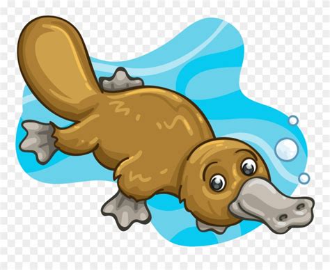 Platypus Clip Art 10 Free Cliparts Download Images On Clipground 2023