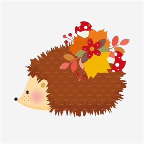 Fall Autumn Autumn Hedgehog Hedgehog Cute Hedgehog Hedgehog Autumn