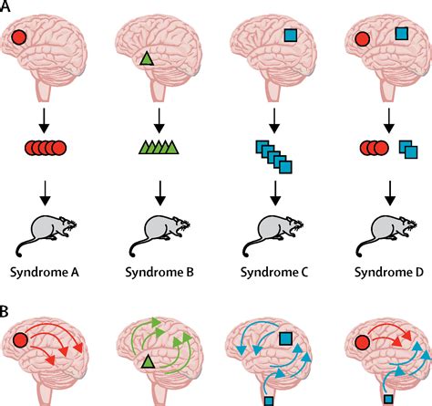 The Prion Model For Progression And Diversity Of Neurodegenerative