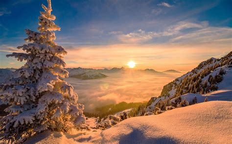 Hintergrundbilder Natur Sonne Winter Kiefern Bäume Schnee Berge