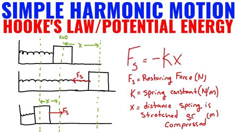 Simple Harmonic Motion Hookes Law And Potential Energyap Physics 1
