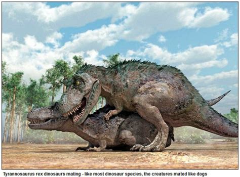 これは興味深い！ とっても気になる恐竜の “交尾スタイル” が科学者の手によって明らかに ライブドアニュース