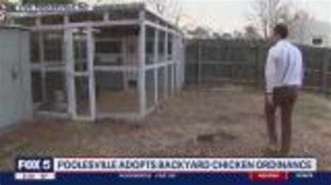 Poolesville Ends Prohibition On Backyard Chickens Daily Telegraph