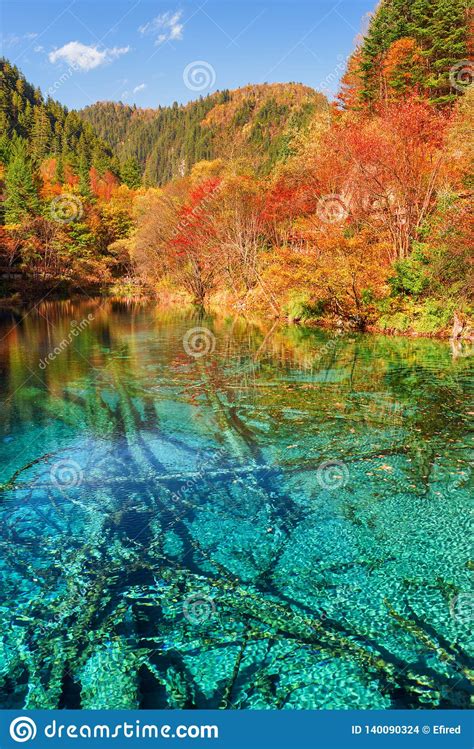 Fantastic View Of The Five Flower Lake Multicolored Lake Stock Photo