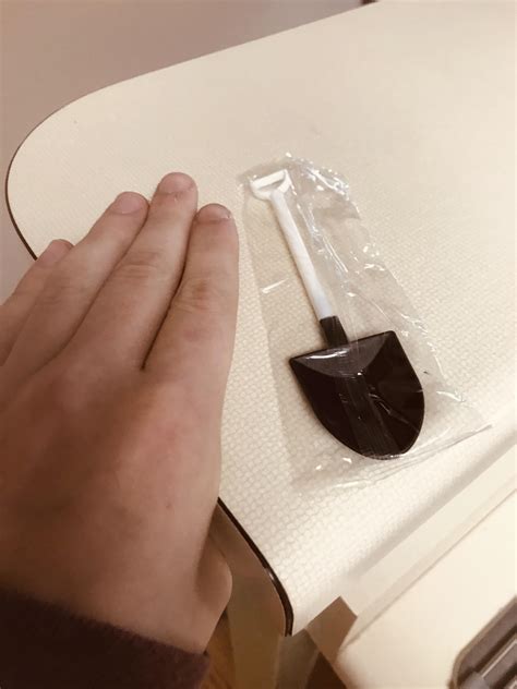 What Is This A Shovel For Ants Rforants
