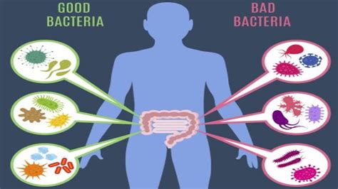 Amazing Health Benefits Of Taking Probiotics