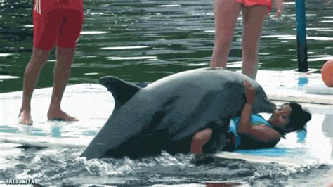 Sex Dolphin S Find And Share On Giphy