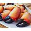 Buy Large Florida Stone Crab Claws
