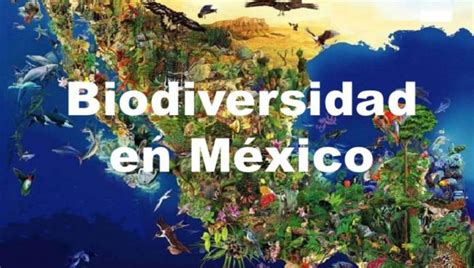 Biodiversidad En México Qué Es Por Qué Es Importante Cuidarla Y Tipos