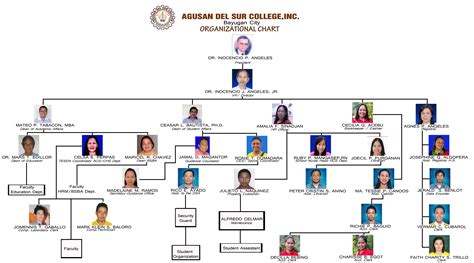 An organizational chart has different types depending on the structure of the organization, namely functional, divisional, matrix, and flatarchy. ORGANIZATIONAL CHART - AGUSAN DEL SUR COLLEGE