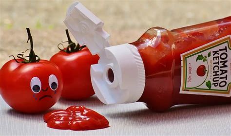 De Quoi Est Fait Le Ketchup Bricoleurs
