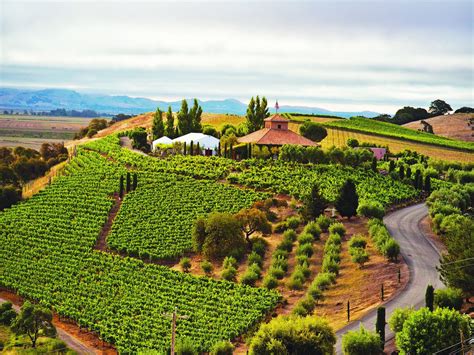 Sonoma Valley Winery For Sale Sonoma Ca Vineyard Sonoma Napa Real