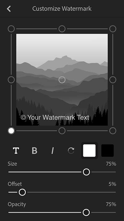 Adobe Photoshop Lightroom Cc For Mobile App On Ios