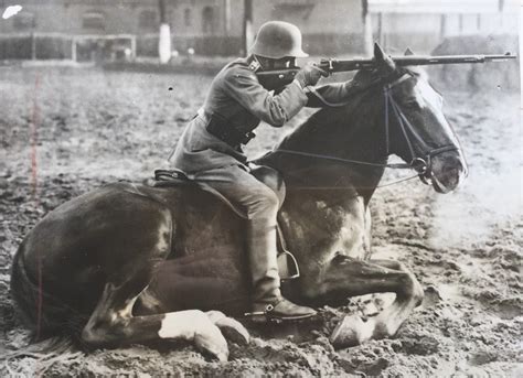 A Very Well Trained War Horse War Horse Horses War Photography