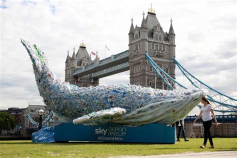 This 550 Pound Plastic Whale Is Raising Pollution Awareness