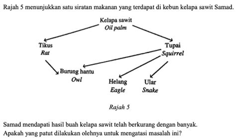 We are a sharing community. Soalan Latihan Sains Tahun 5 - UPSR Online