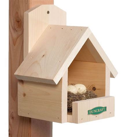 Lots of cardinal bird house to choose from. Cardinal Bird House | Cardinal bird house, Bird houses diy ...