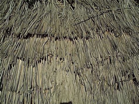 Texture  Thatched Roof Hut