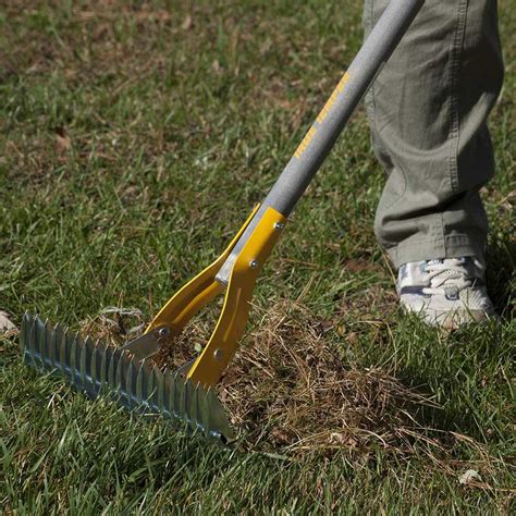 How To Dethatch A Lawn Quickly Dethatching St Augustine Grass Best