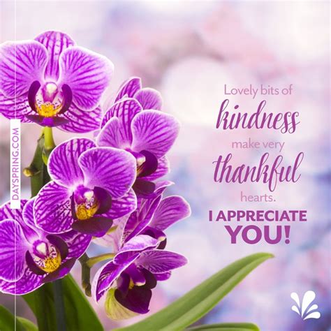 Lovely Bits Dayspring Ecard Studio Thank You Quotes For Friends