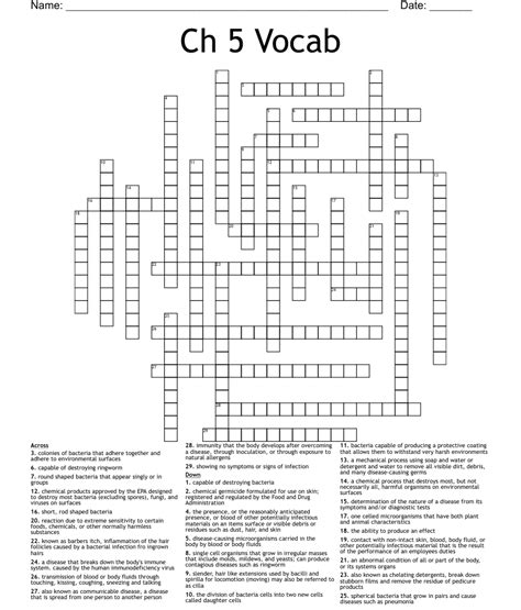 Ch 5 Vocab Crossword Wordmint