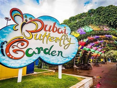Dubai Butterfly Garden Is The Largest In The World