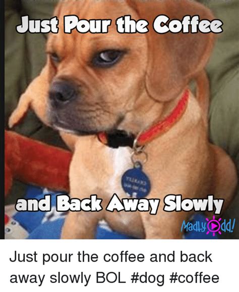 And Back Away Slowty Just Pour The Coffee And Back Away Slowly Bol Dog Coffee Meme On Meme