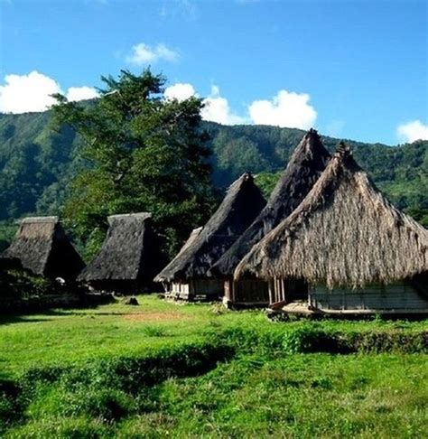 Gambar pemandangan gunung, alam, pedesaan, laut, tepi pantai, pegunungan, sawah dan gunung, taman bunga, hutan, sungai, air terjun, sunset, dll. 65+ Gambar Rumah Adat Flores Timur Terbaru - Kumpulan ...