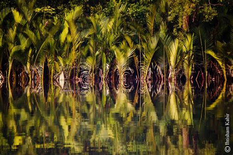 Sundarban Natural Beauty Of Bangladesh