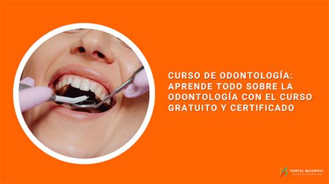 Curso De Odontología Aprende Todo Sobre La Odontología Con El Curso