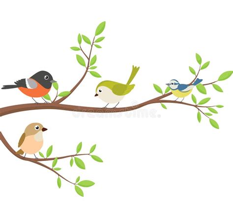 Beautiful Birds Sitting Tree Branch Stock Vector Illustration Of