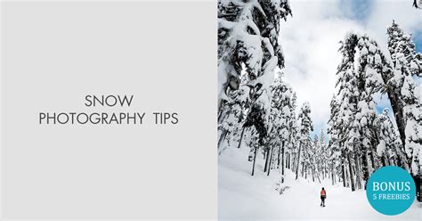 18 Snow Photography Tips And Tricks