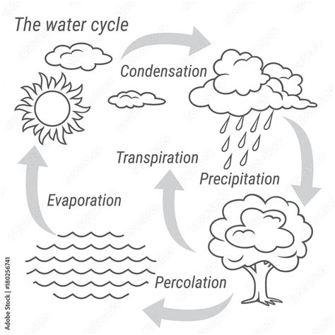 Vettoriale Stock Water Cycle Black And White Vector Schematic