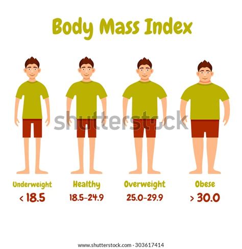 Body Mass Index Men Poster Stock Vector Royalty Free 303617414