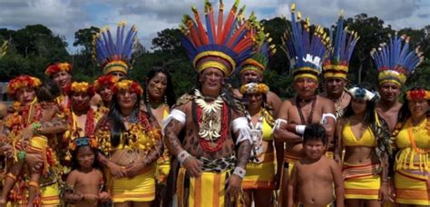 Que Tal Apoiar Os Povos Indígenas Do Brasil
