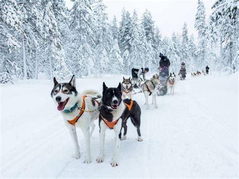 Lapland Travel Guide 10 Things To Do In Finland In Winter