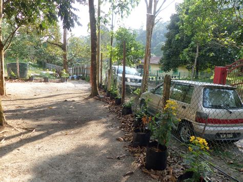 Get on the bus no.t406 and drop off at ' lubuk manggis ' bus stop. Trigonagold - Makanan anjuran sunnah: Ladang utama - Lubuk ...