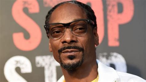 Snoop Dogg Sued For Sex Assault The Guardian Nigeria News Nigeria