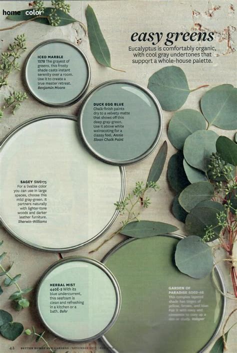 Styling With Eucalyptus Making Your Home Beautiful Paint Colors For