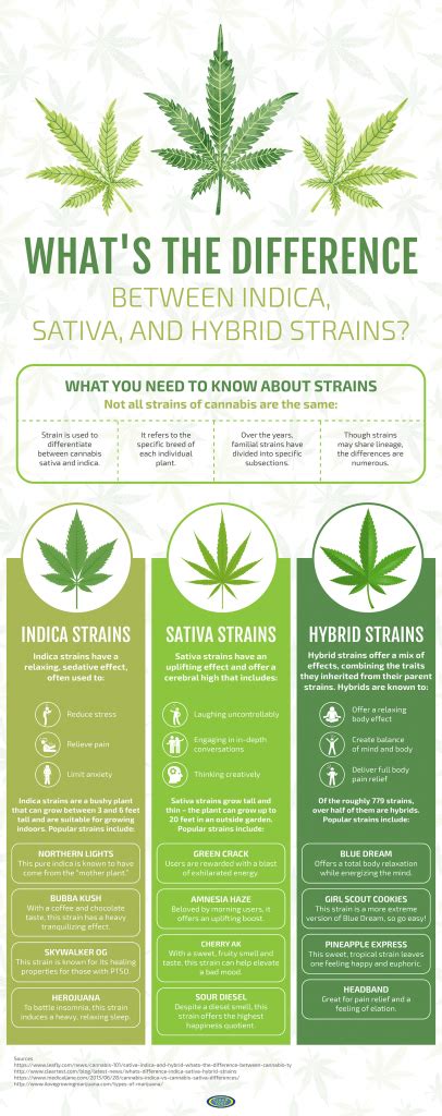 When using an indica strain, you will experience more of a body high, which will help stimulate your appetite, and promotes relaxation. What's the Difference Between Indica, Sativa, and Hybrid ...