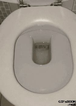 Spider Toilet GIF Find Share On GIPHY