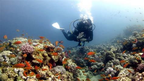 Scuba Diving Red Sea Dive Sites Of Dahab Egypt 2015 Youtube
