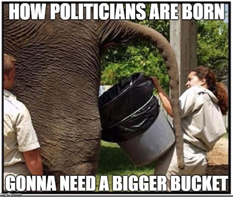25 Best Memes About Elephant Elephant Memes