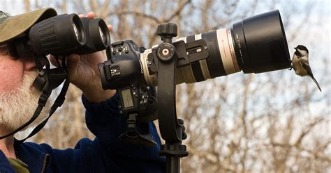 If your camera isn't easy to use, or if it intimidates you, you're not likely to put the effort into learning how to capture better best cameras for beginners. 3 Best DSLR Cameras for Wildlife Photography [Read Before ...